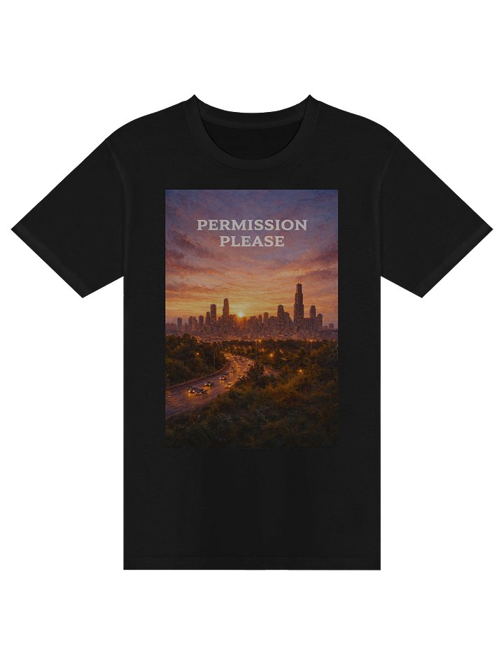 permission please (shirt) product image (1)