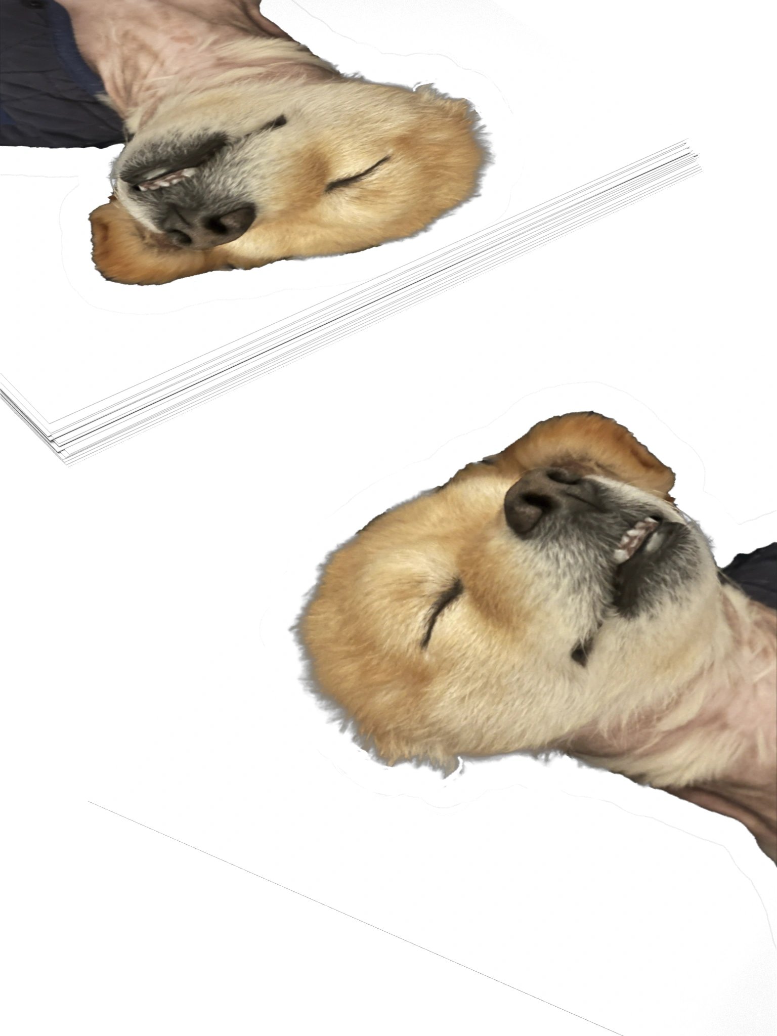 Euphoria product image (10)