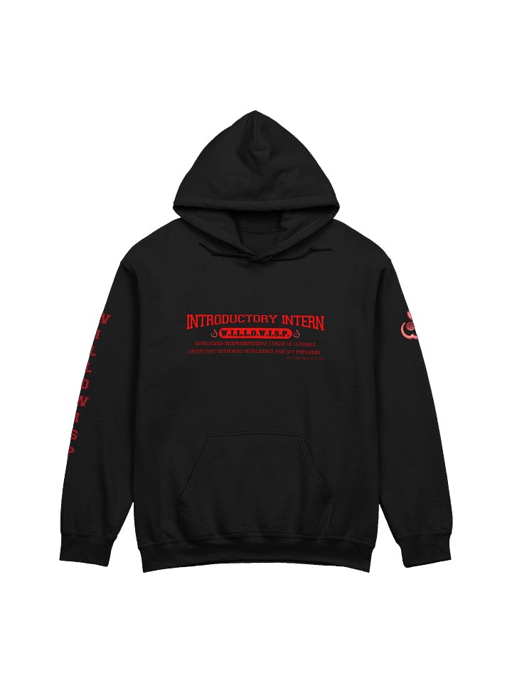 Introductory Intern Varsity Hoodie product image (1)