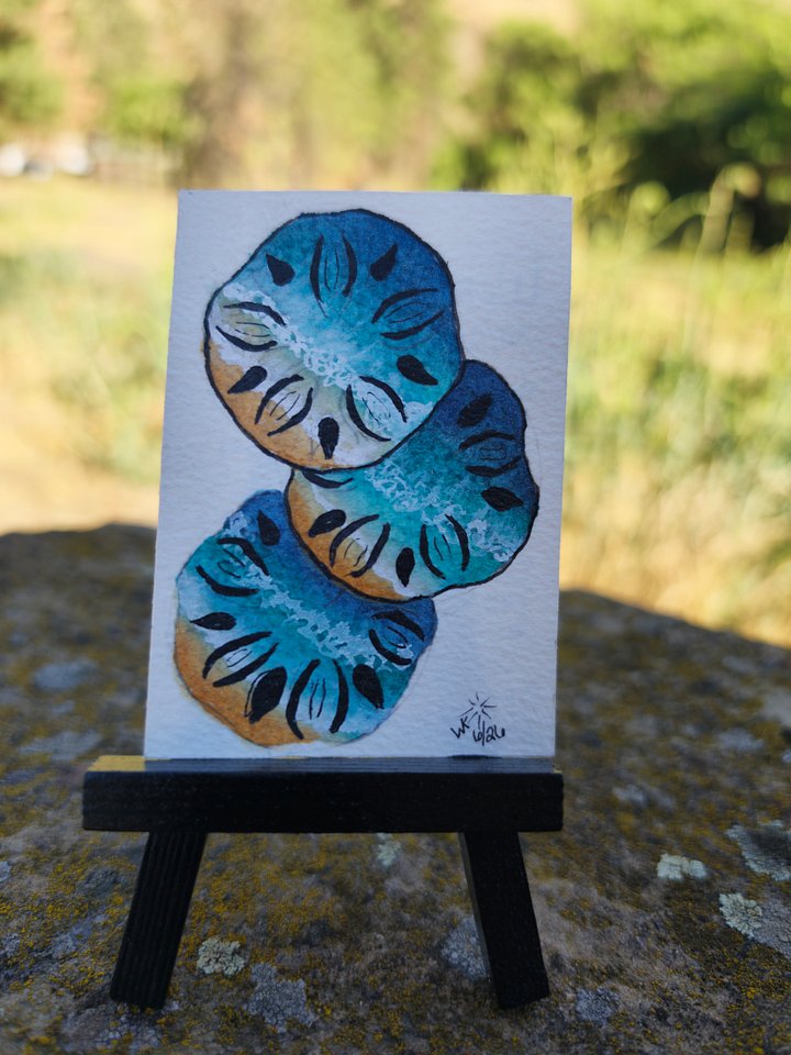 Ocean Moolah - Mile Marker Series 1 product image (1)