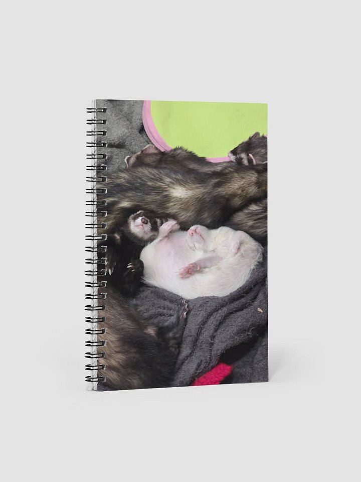 The Babies Notebook product image (1)