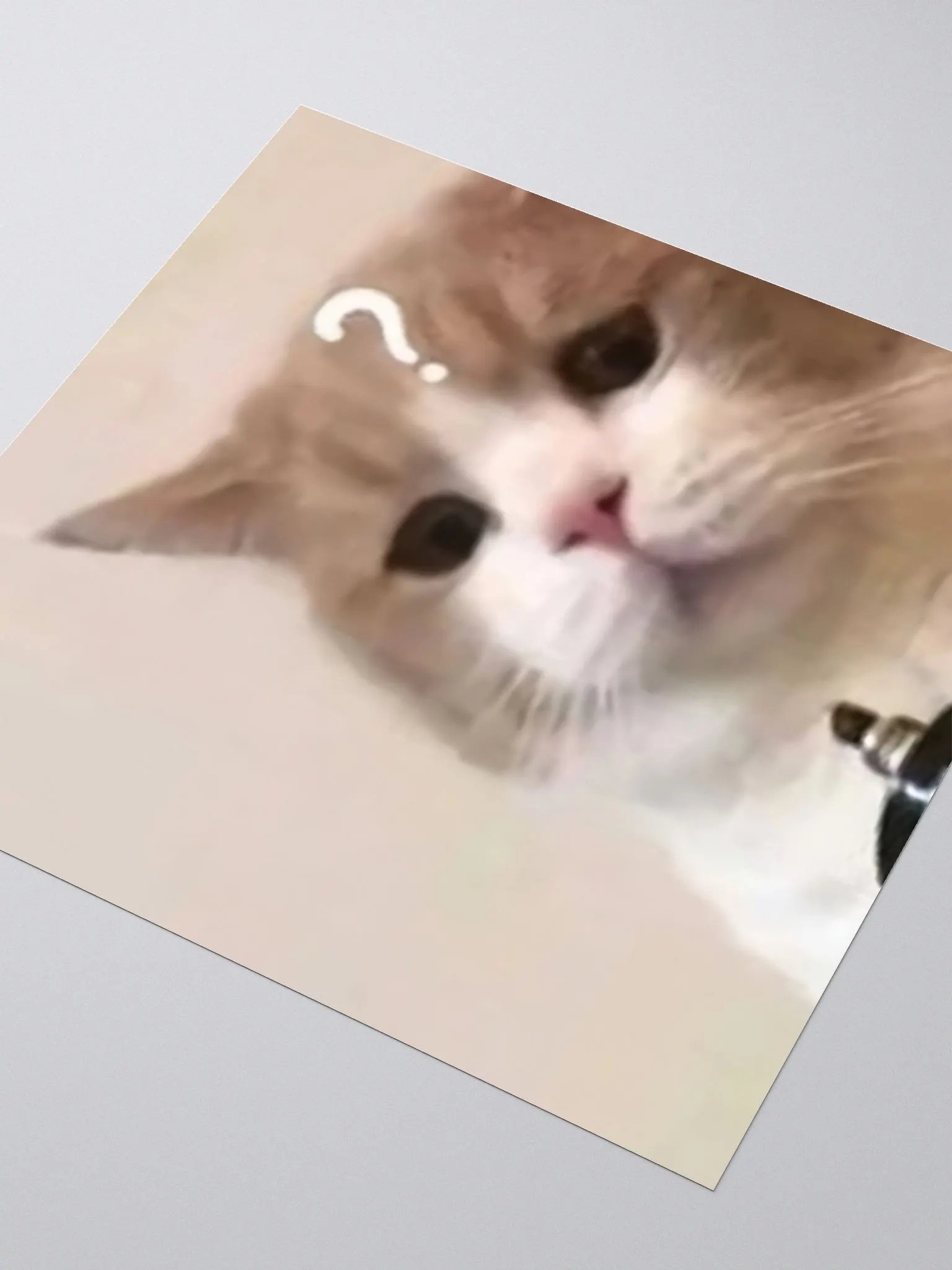 Kiss Cut Stickers: Meme Cats product image (3)