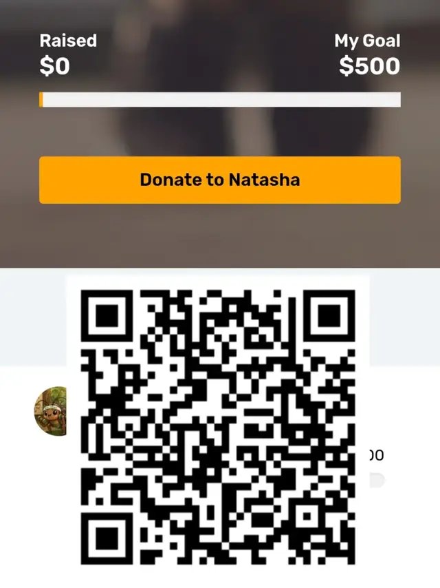 Even a $1 can make a difference please show your support if you can.  I'm doing 3,307 push-ups in 24 days as part of The Push-Up Challenge to raise awareness and funds for mental health in Australia. This target represents the 3,307 people who died by suicide in Australia in 2024 (the most recent stats). You can push for better mental health too by donating to my fundraising page and supporting this important cause: www.thepushupchallenge.com.au/fundraisers/natashadebakker/the-push-up-challenge Funds raised will go to The Push For Better Foundation to support much-needed mental health services and initiatives in Australia. Any donation, big or small, is really appreciated!#pushupchallenge #mentalhealth #charity 