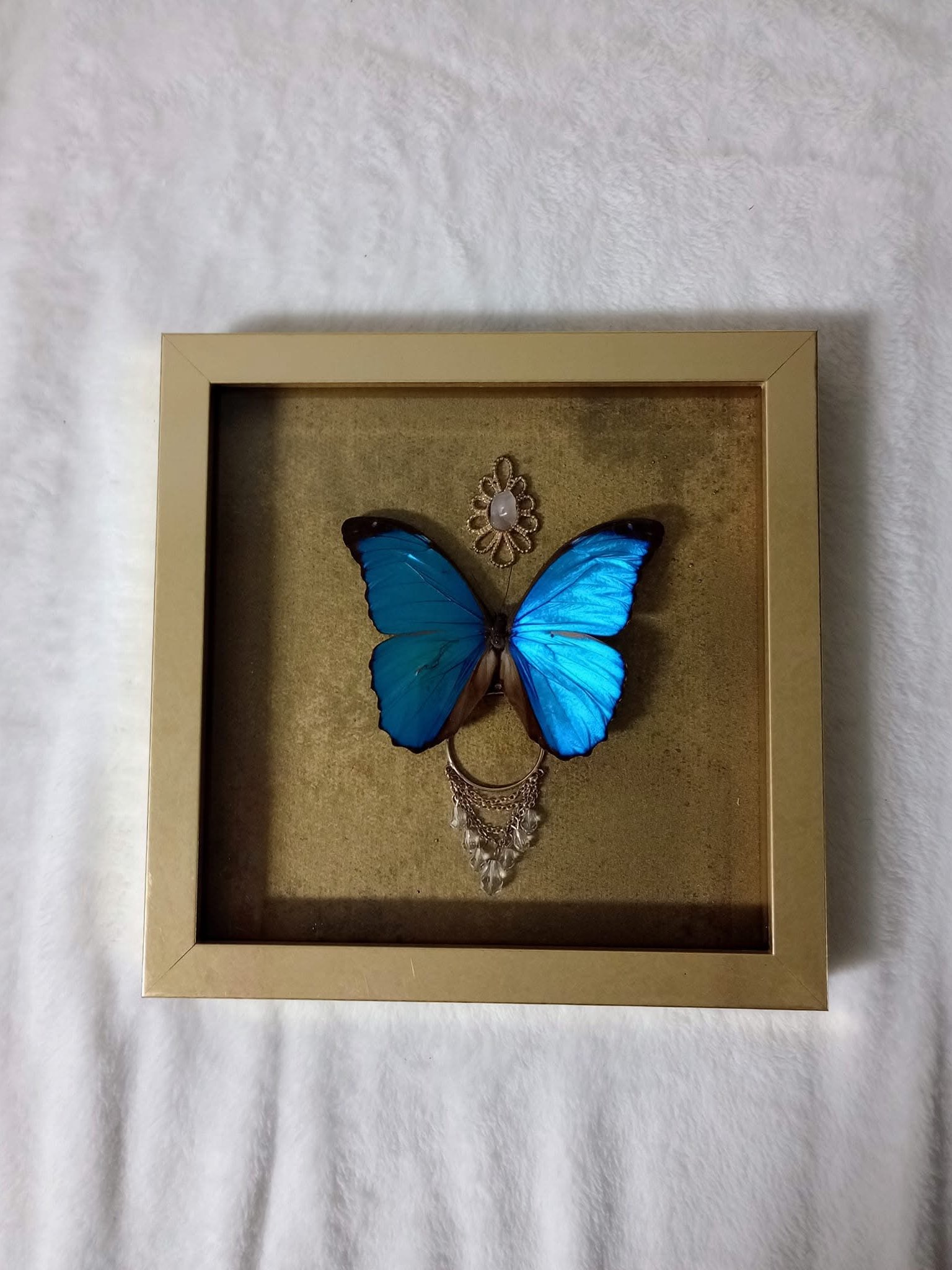 Butterfly box product image (4)