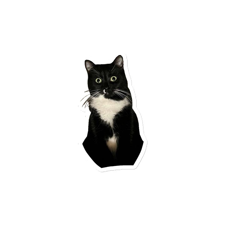 Fridge mittens!!! product image (2)