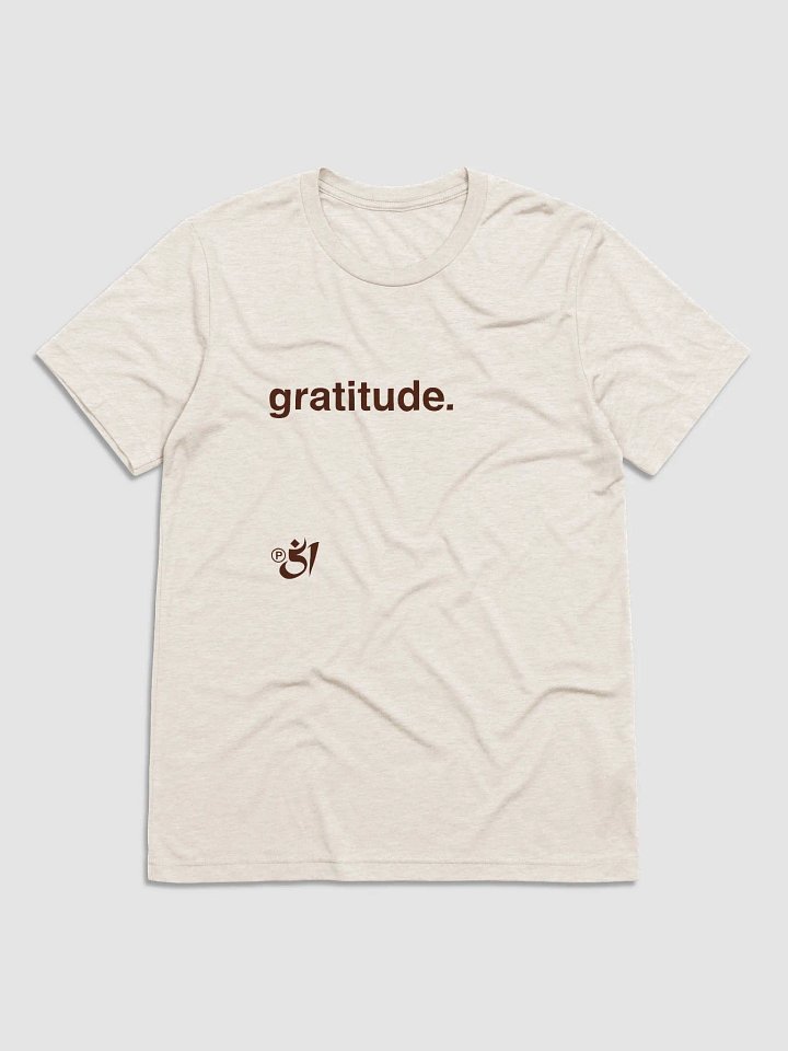 gratitude. tee product image (1)