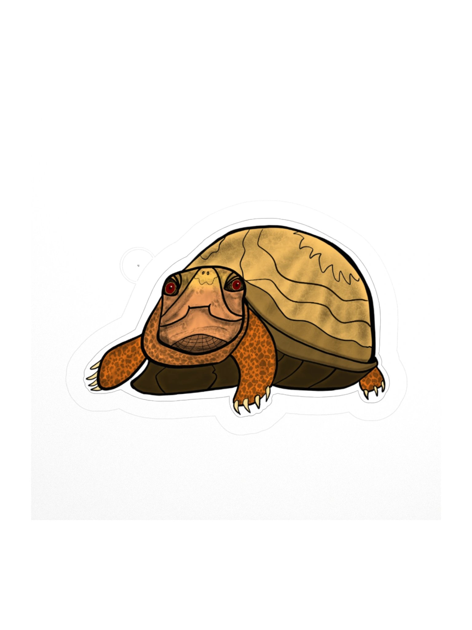 Twenty Turtle Six - February product image (1)
