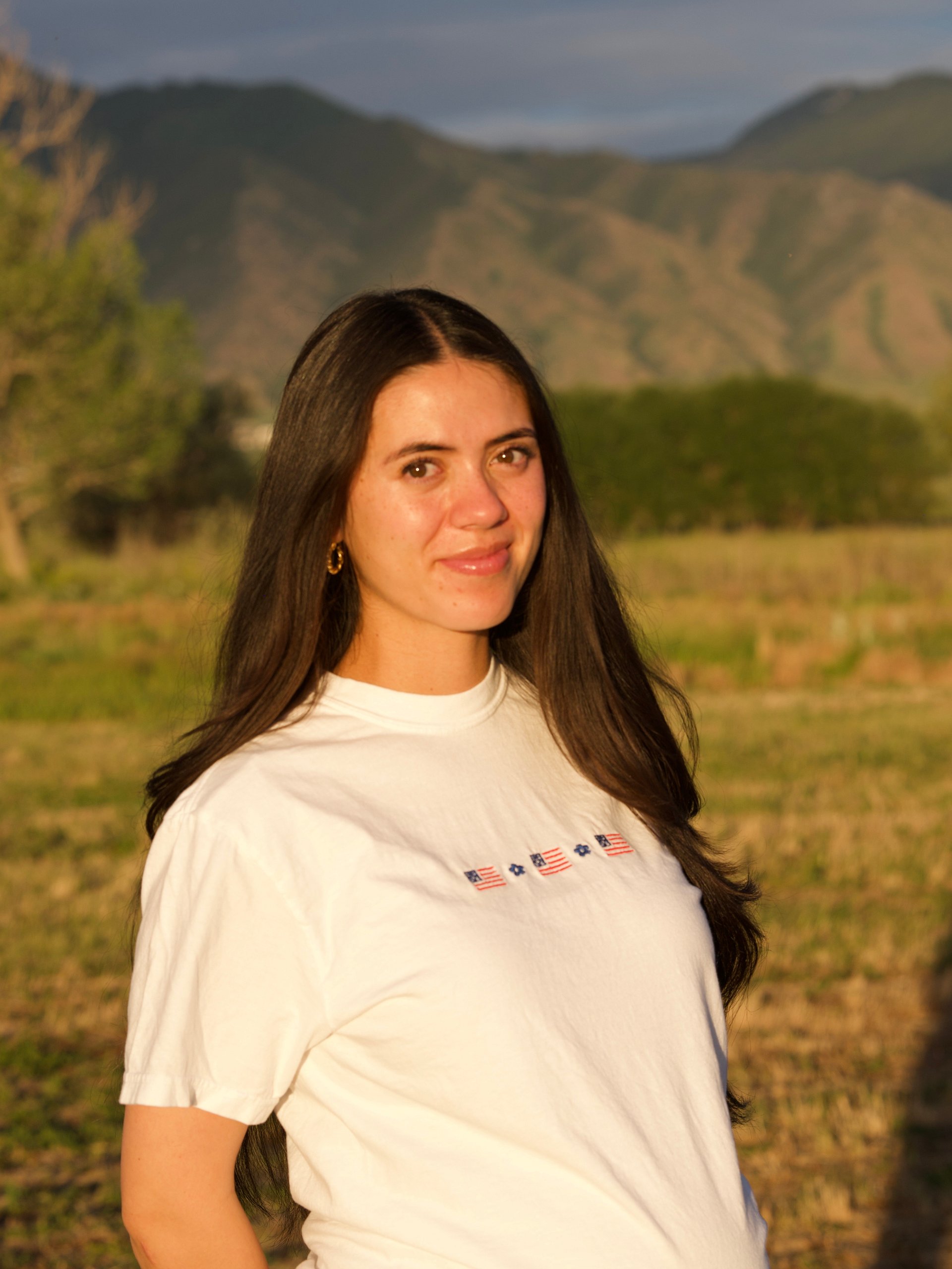 American Flag Flower Embroidered Tee product image (4)
