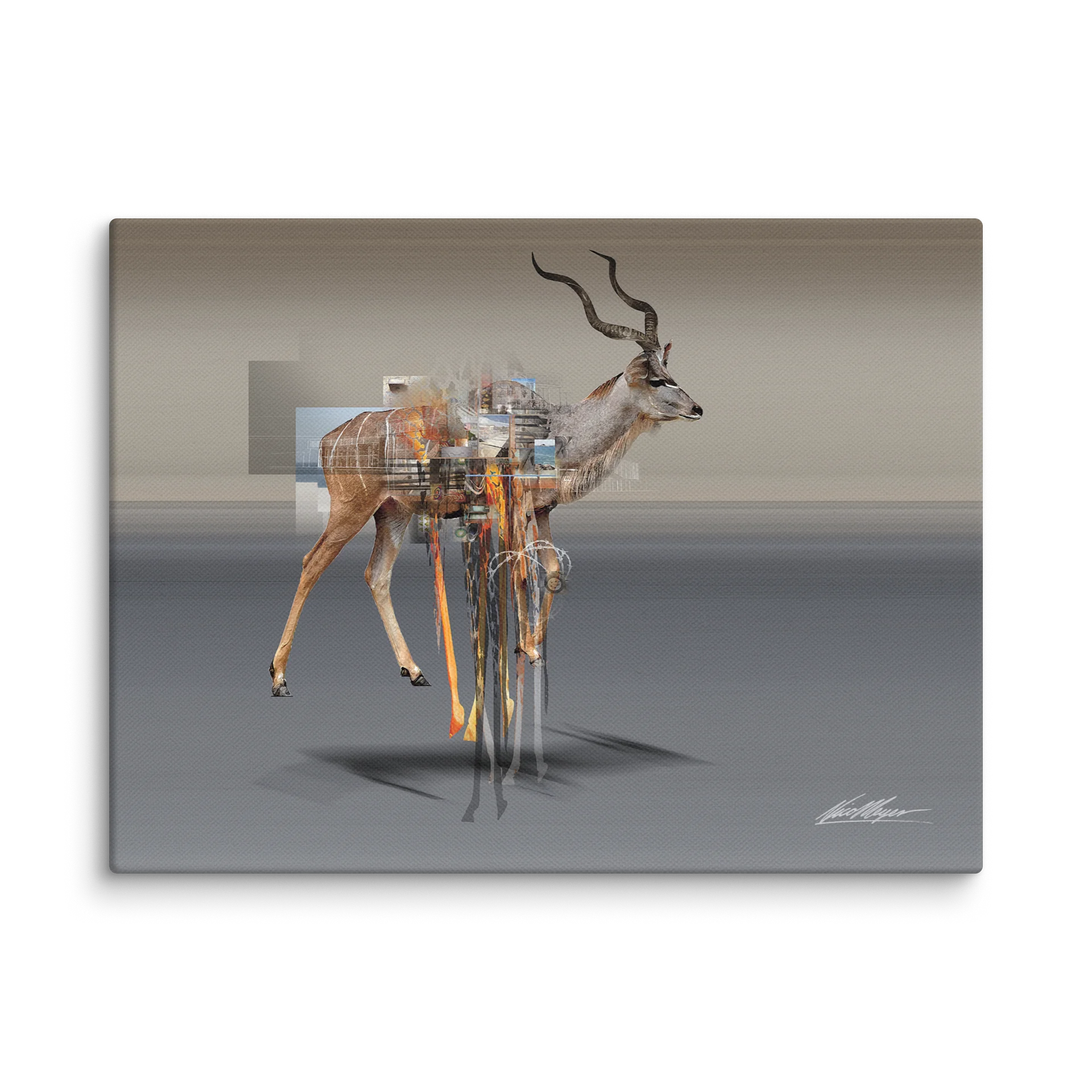 The Surveyor: Kudu Fine Art Canvas Print | 1:1.33 Ratio product image (1)