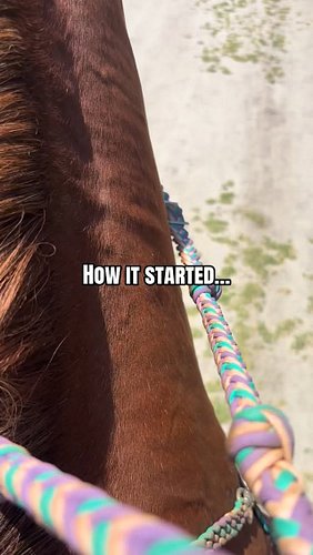 Children. 😒 #horse #trailride #notrelaxing #stressed #children