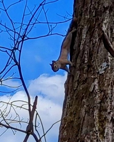 Why was this little guy giving me the side eye? Video tonight over on my YouTube channel at 8:30pm.

https://youtu.be/DeVlqfB...