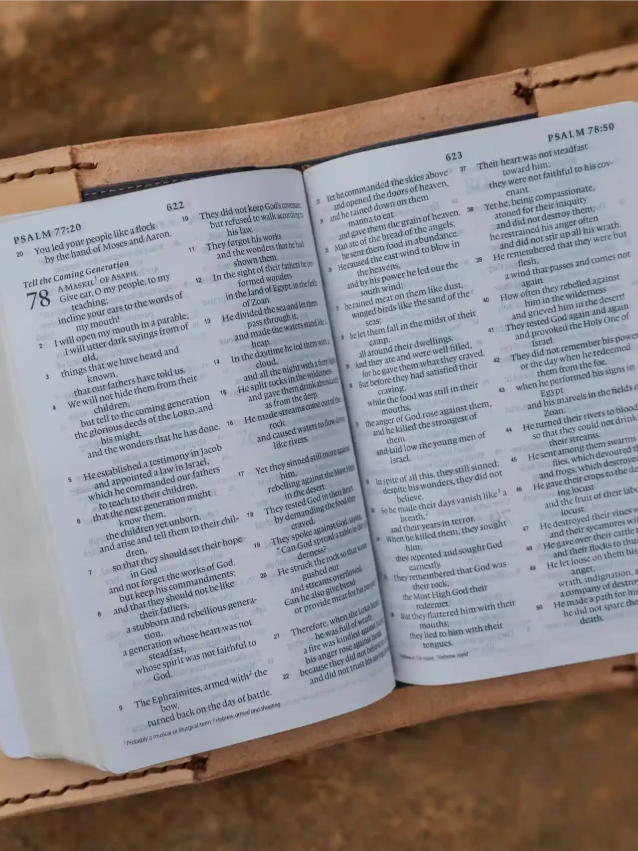 Natural Heart Bible product image (4)