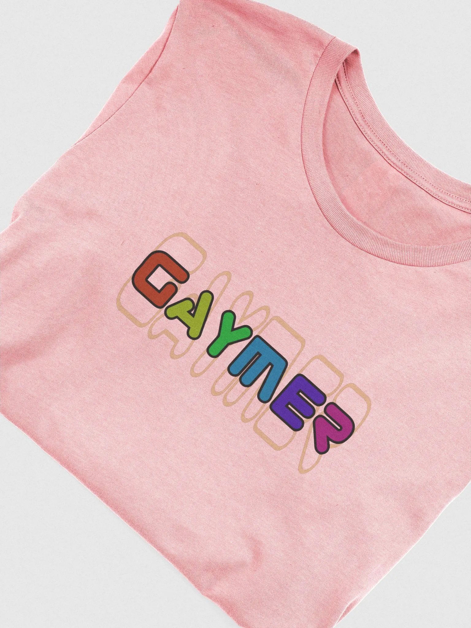 Gaymer Tee product image (46)