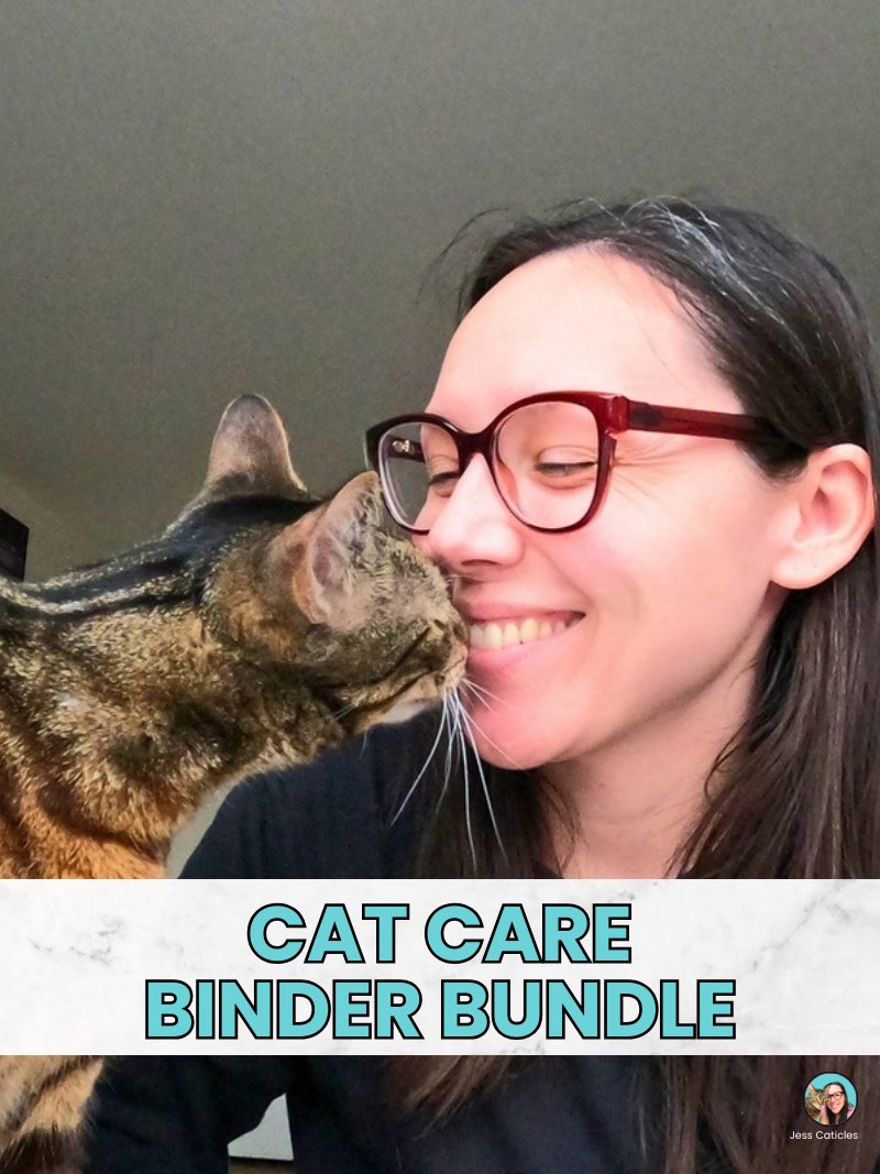 Cat Care Binder Bundle ~ Undated Printable and Digital Planners product image (1)