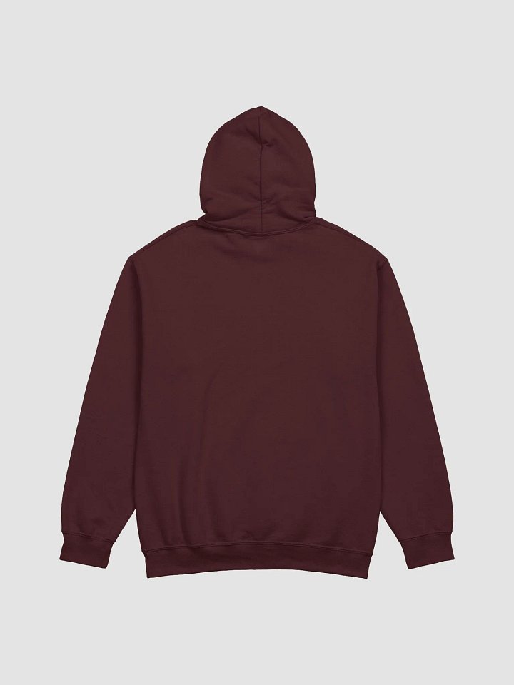 House Music Academy Hoodie product image (2)