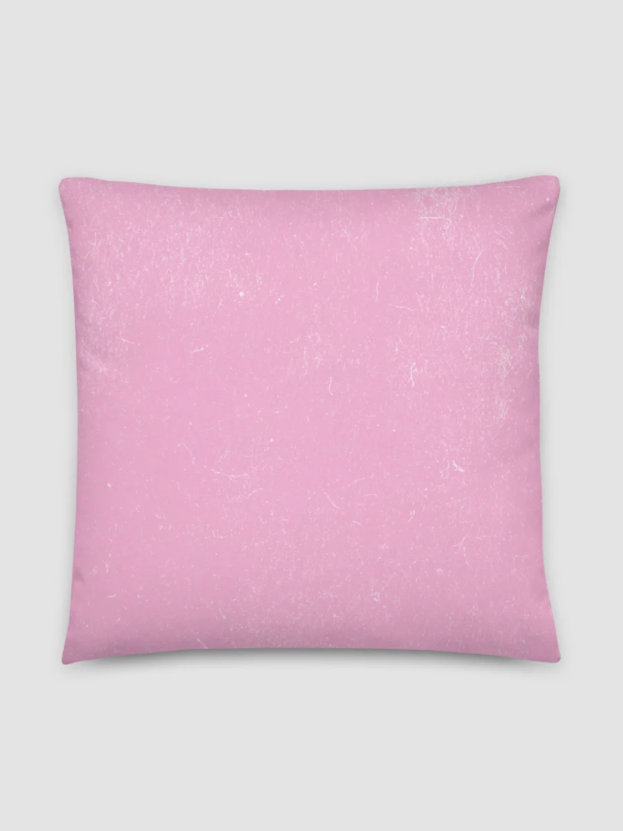 This must be the Place Pillow product image (3)