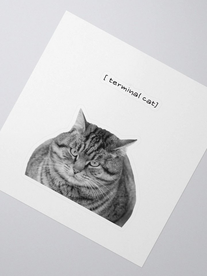 Terminal cat product image (2)