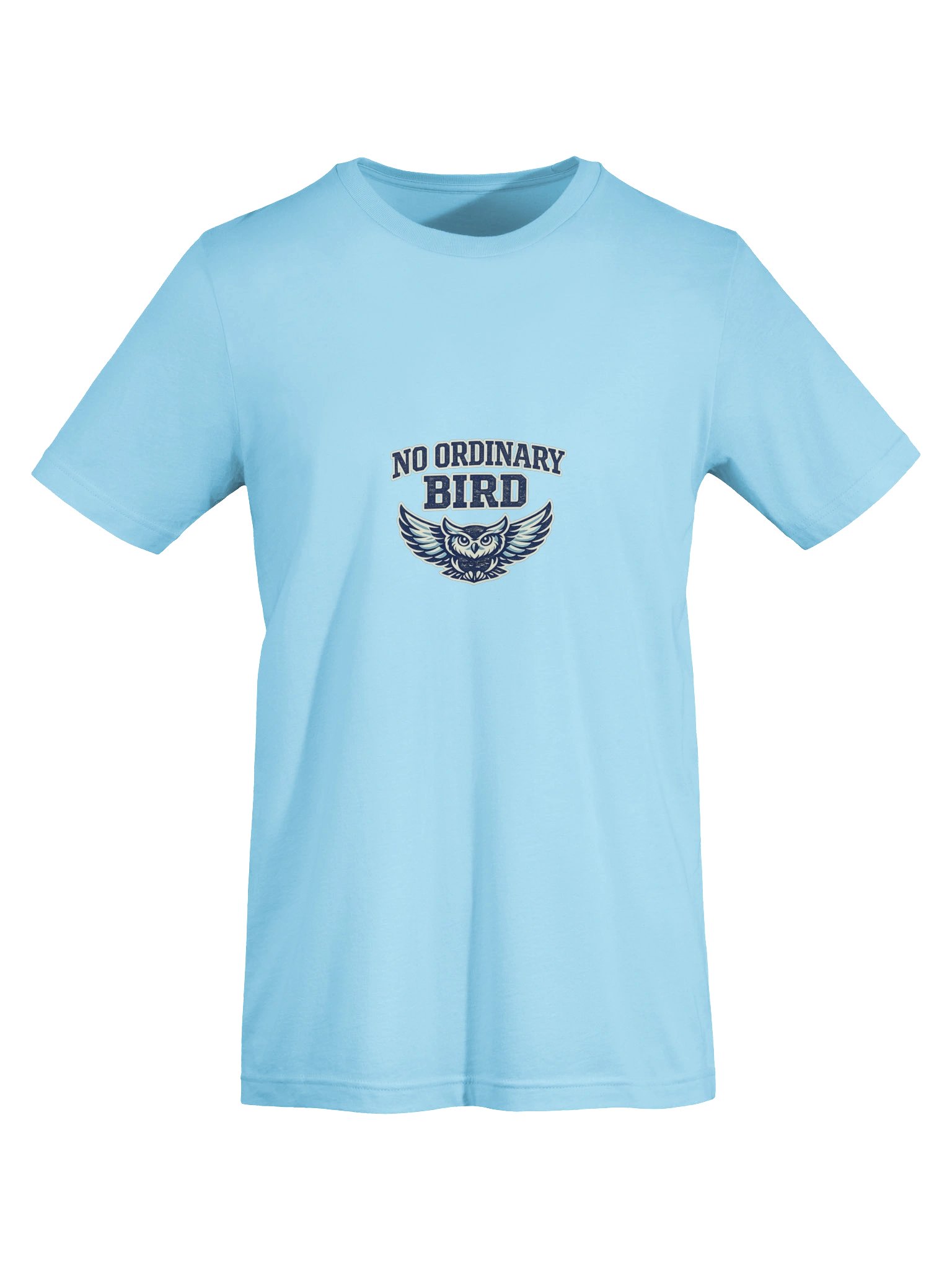 No Ordinary Bird Owl Tee product image (19)