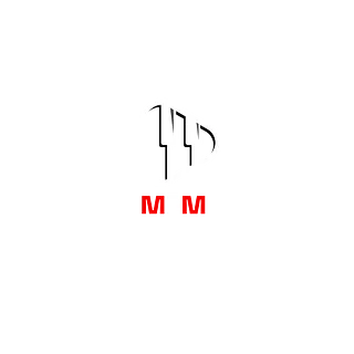 Media For Musicians