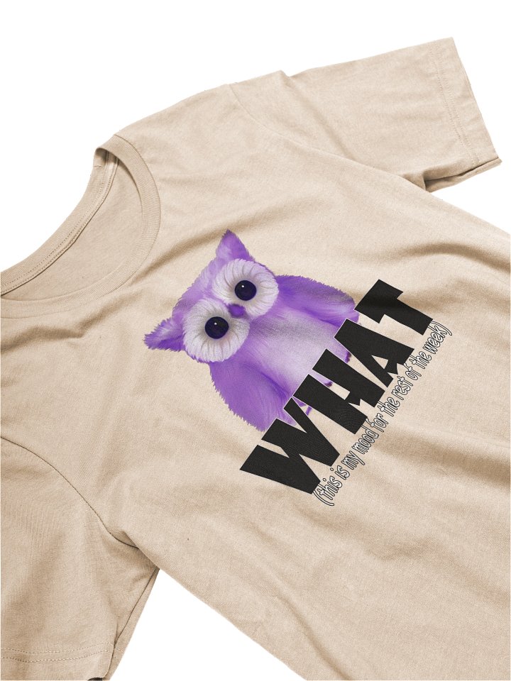 Women's Bella+Canvas Supersoft T-Shirt product image (2)