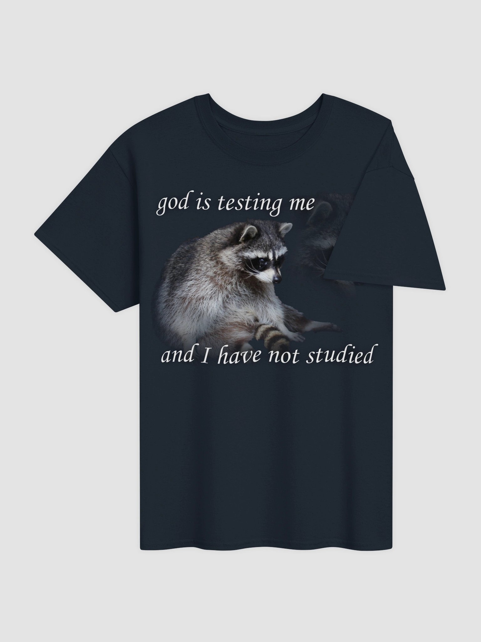 God is Testing Me Raccoon T-shirt product image (4)