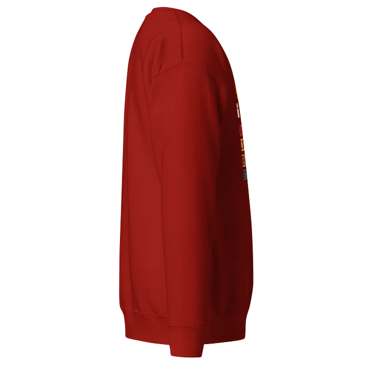 Transformons l’Ordinaire en Extraordinaire Sweatshirt product image (2)