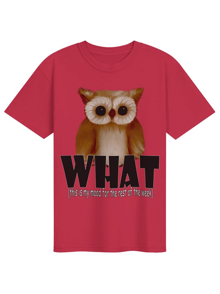 Owl "WHAT" T-Shirt. Men's Comfort Colors Garment-Dyed Heavyweight T-Shirt product image (1)