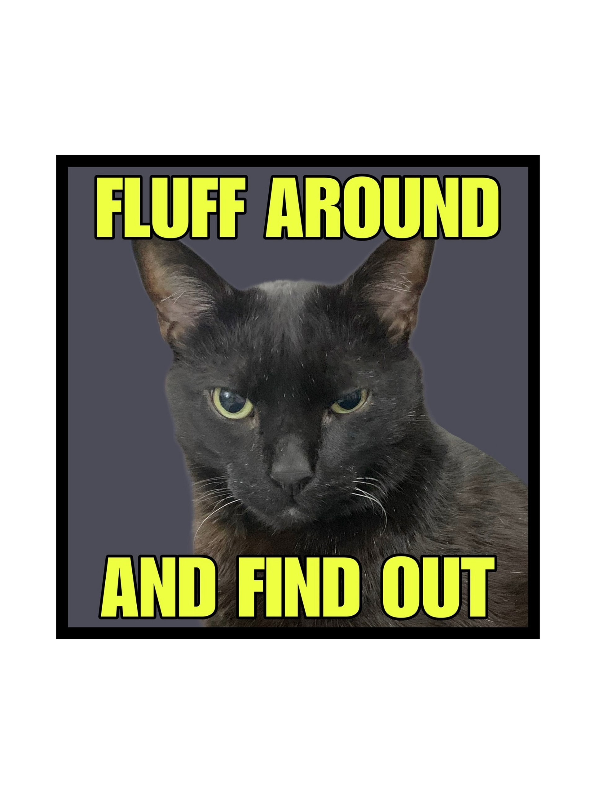Fluff Around and Find Out sticker product image (1)