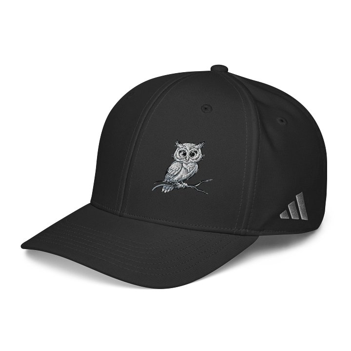 Whimsical Owl Illustration Cap product image (2)