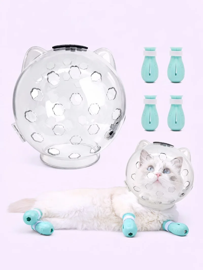 Cat Bubble Helmet and Paw Socks product image (1)
