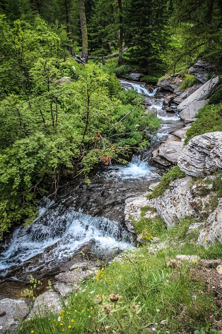 Alpine Serenity – Wild Mountain Stream product image (1)