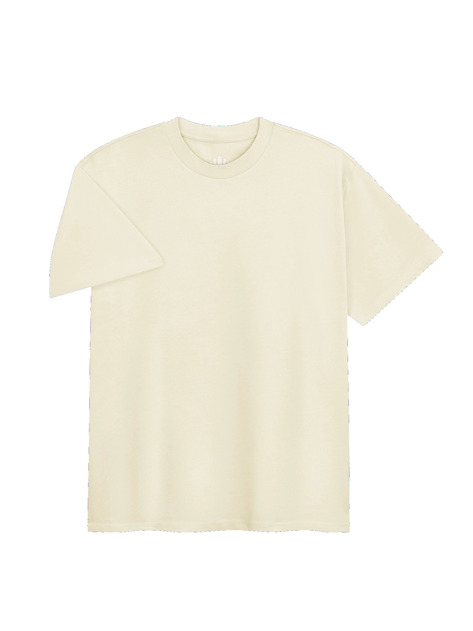 Privacy Is Normal Boxy Heavy Tee product image (11)