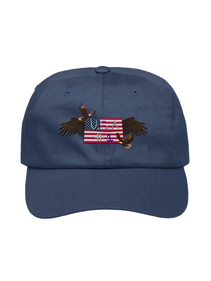 USA #1 Hat product image (1)