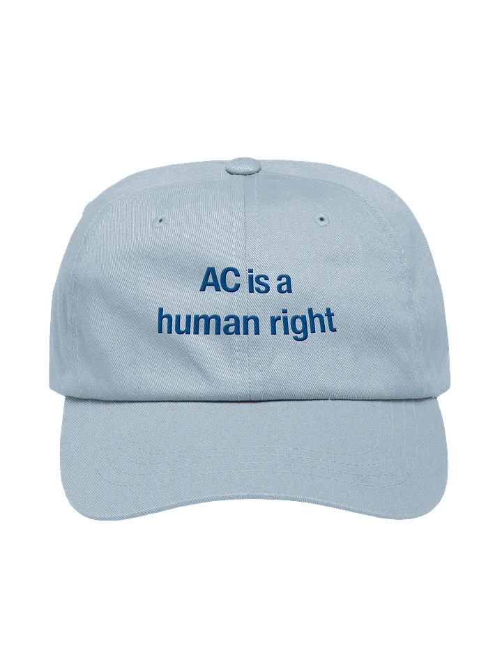 AC Is A Human Right Cap product image (2)