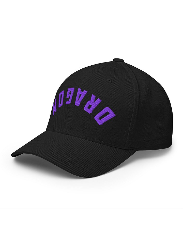 Dragon Curve - Flexfit product image (2)