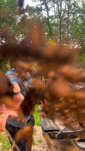 3 Ways to Get FREE Mulch!🪵

#gardentips #gardening #homesteading #landscaping