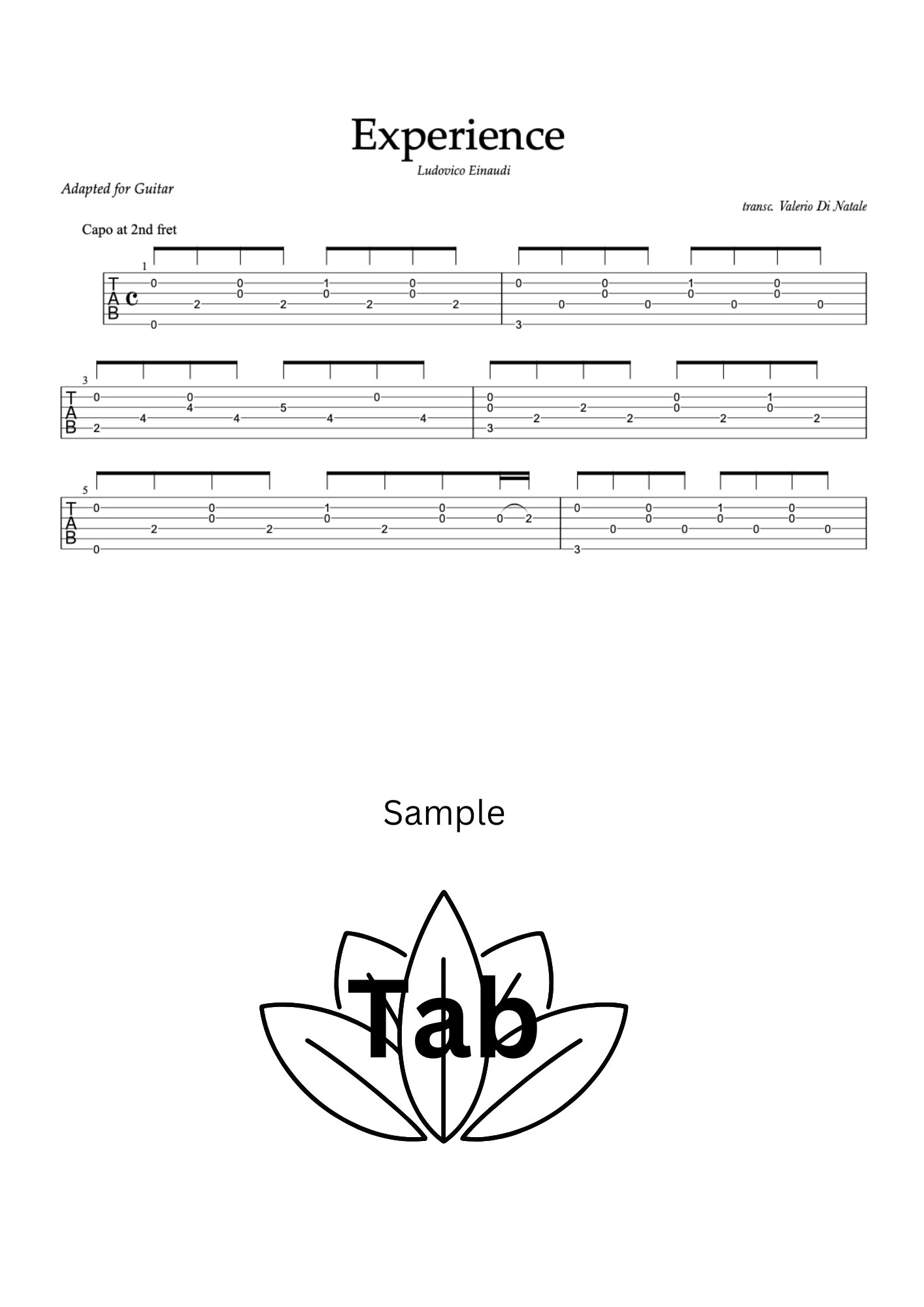 Experience by Ludovico Einaudi product image (4)