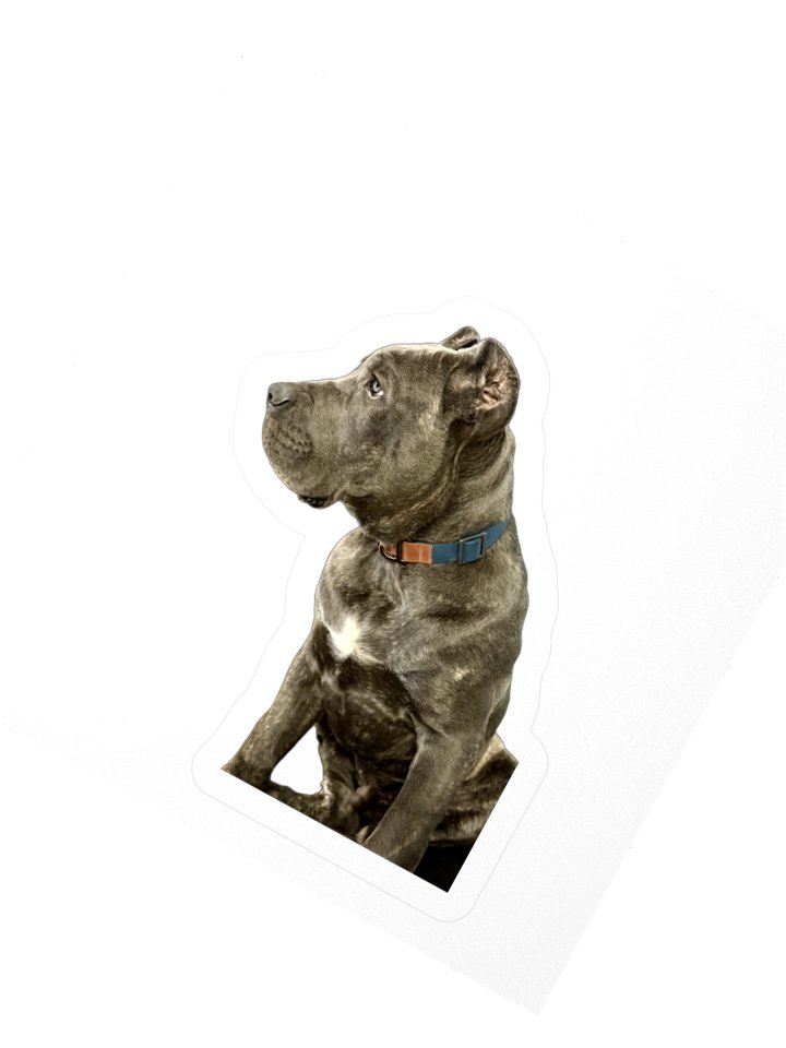 Brindle Pup Kiss-Cut Sticker product image (5)