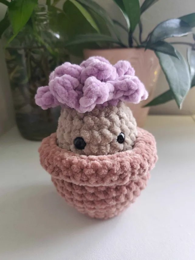 Succulent Friend product image (4)