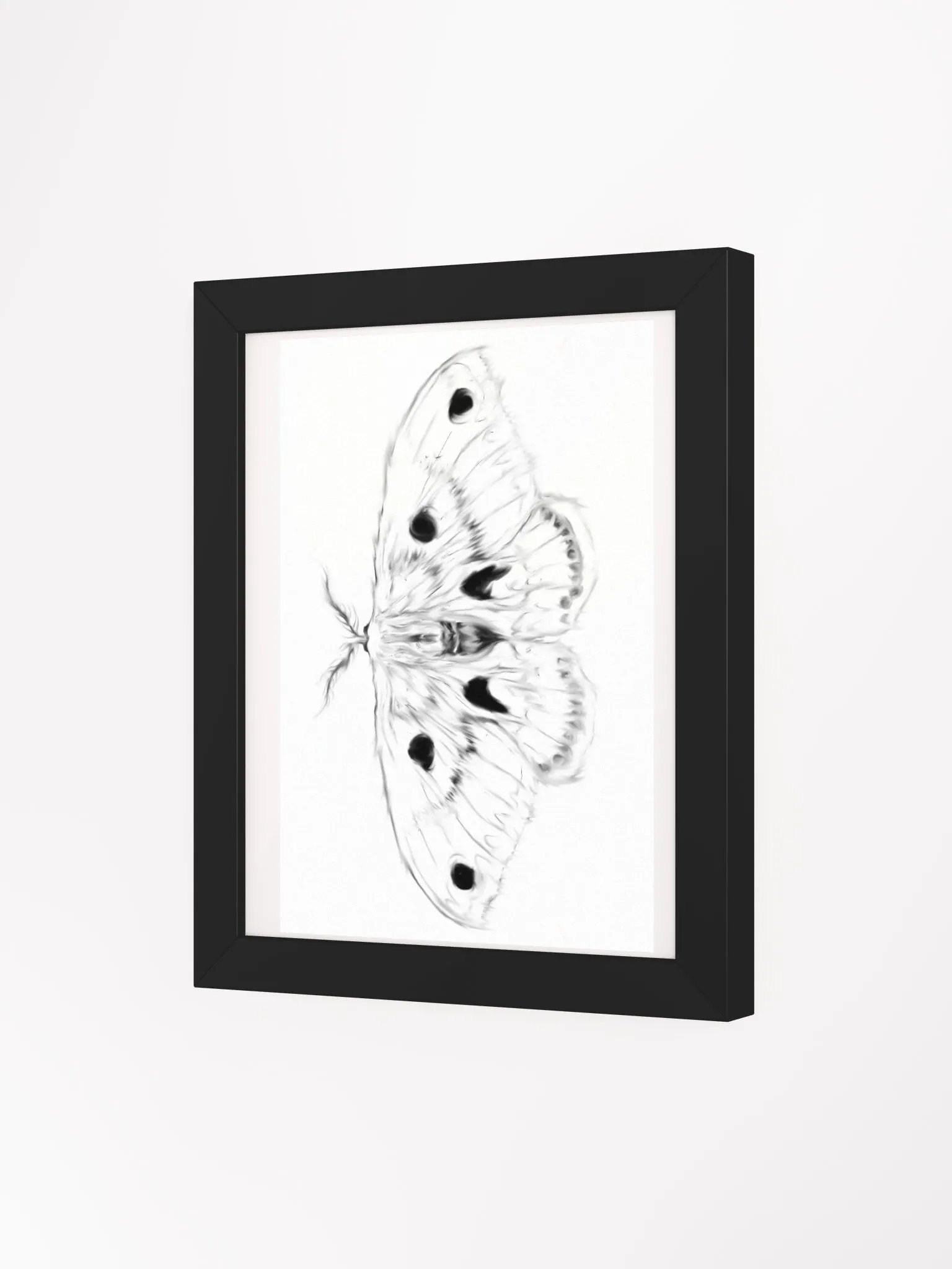 Cecropia Moth Print product image (10)