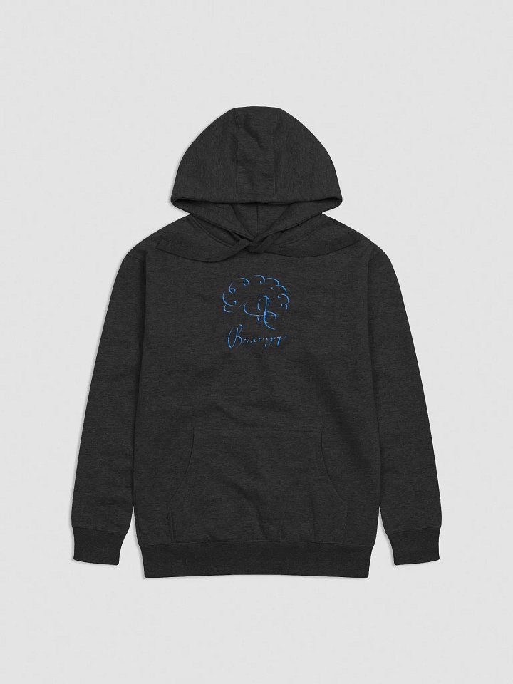 EMBROIDERED SIGNATURE HOODIE (Blue Signature) product image (1)