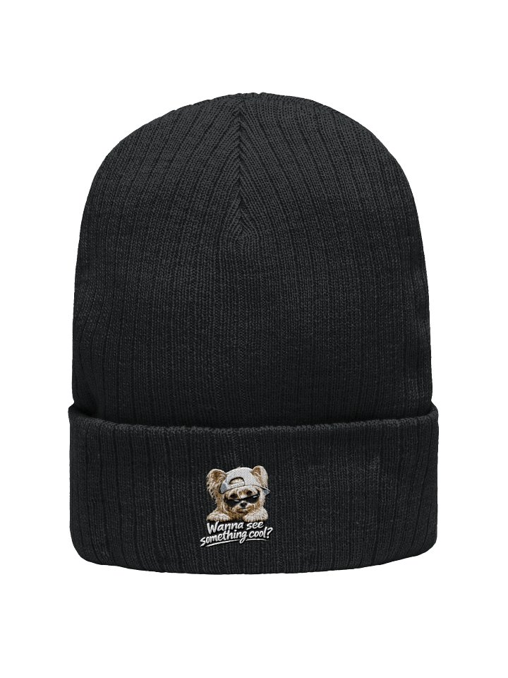 Cool beanie product image (1)