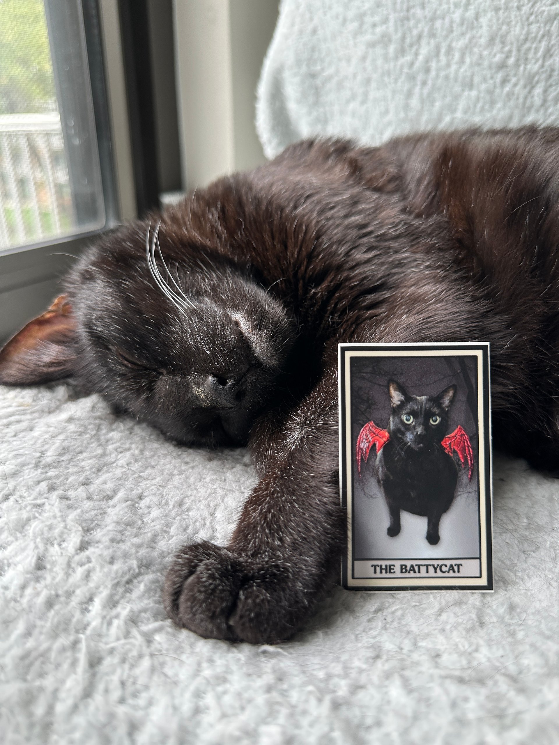 The Battycat tarot sticker product image (2)