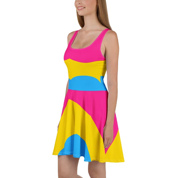 Pan Ass Dress product image (1)