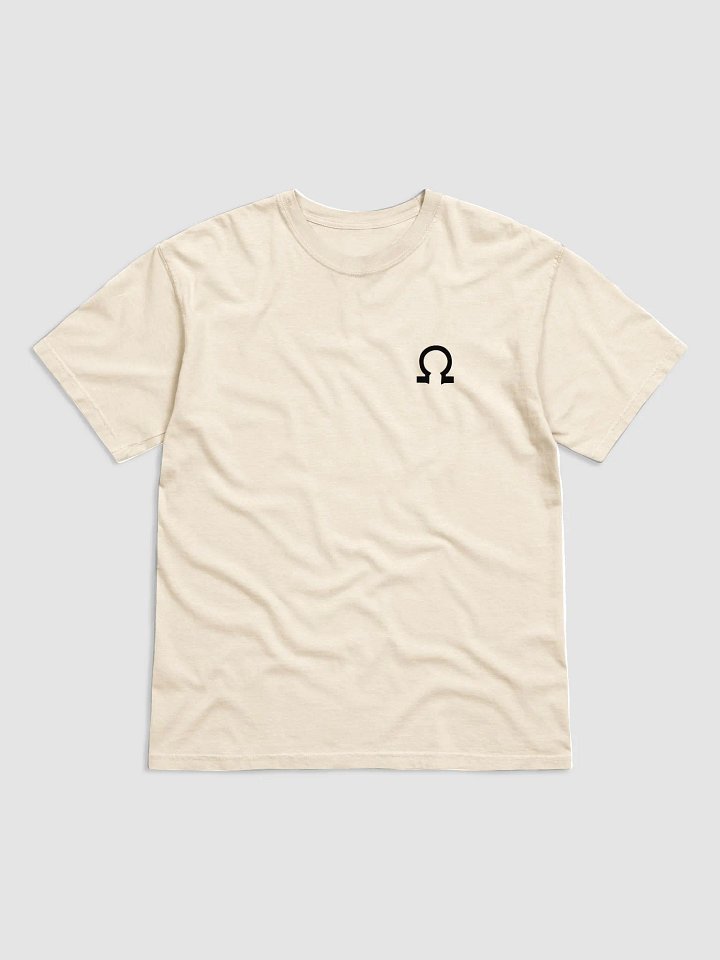 JOLTRON Heavyweight Tee product image (2)