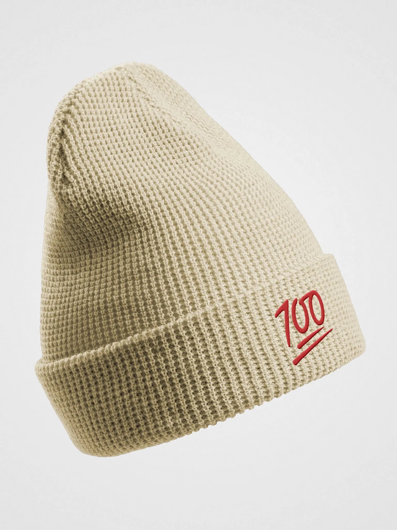 100 Embroided Bennie Hat By Nopa product image (3)