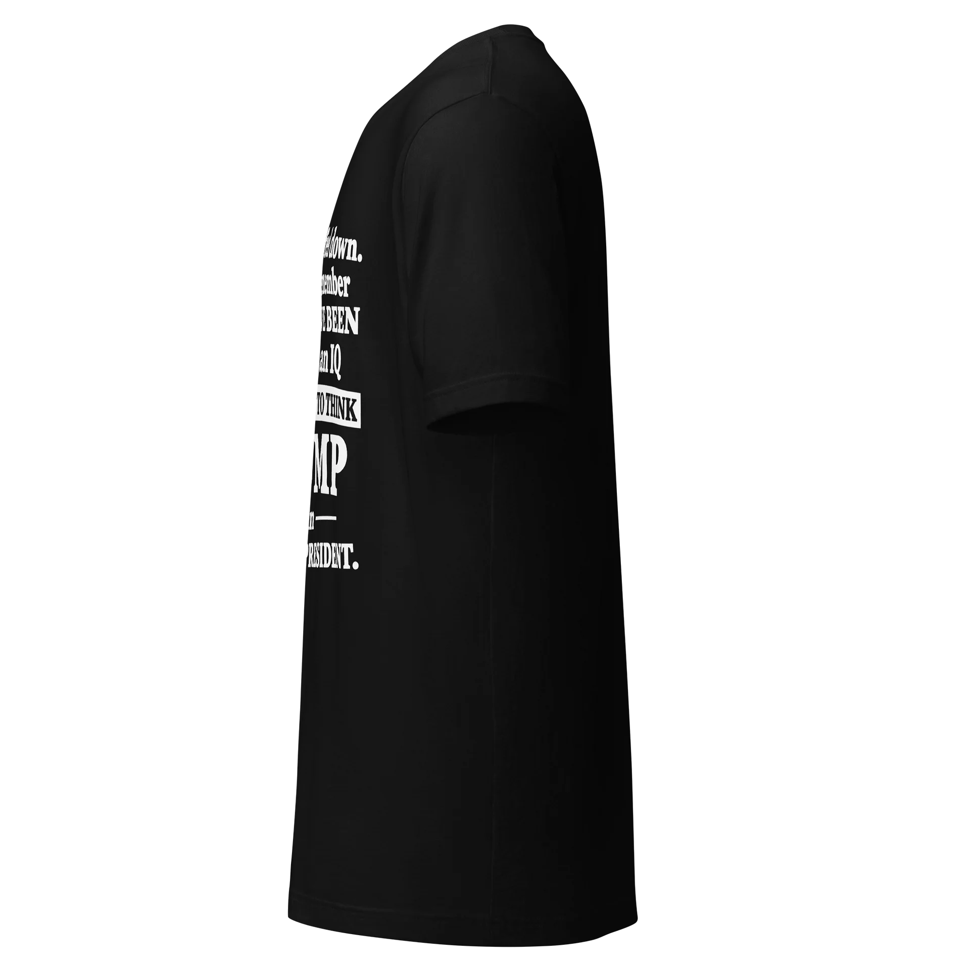 Low Enough to Think Trump Is an Amazing President T-Shirt product image (11)