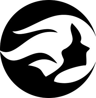 spiritinmotion