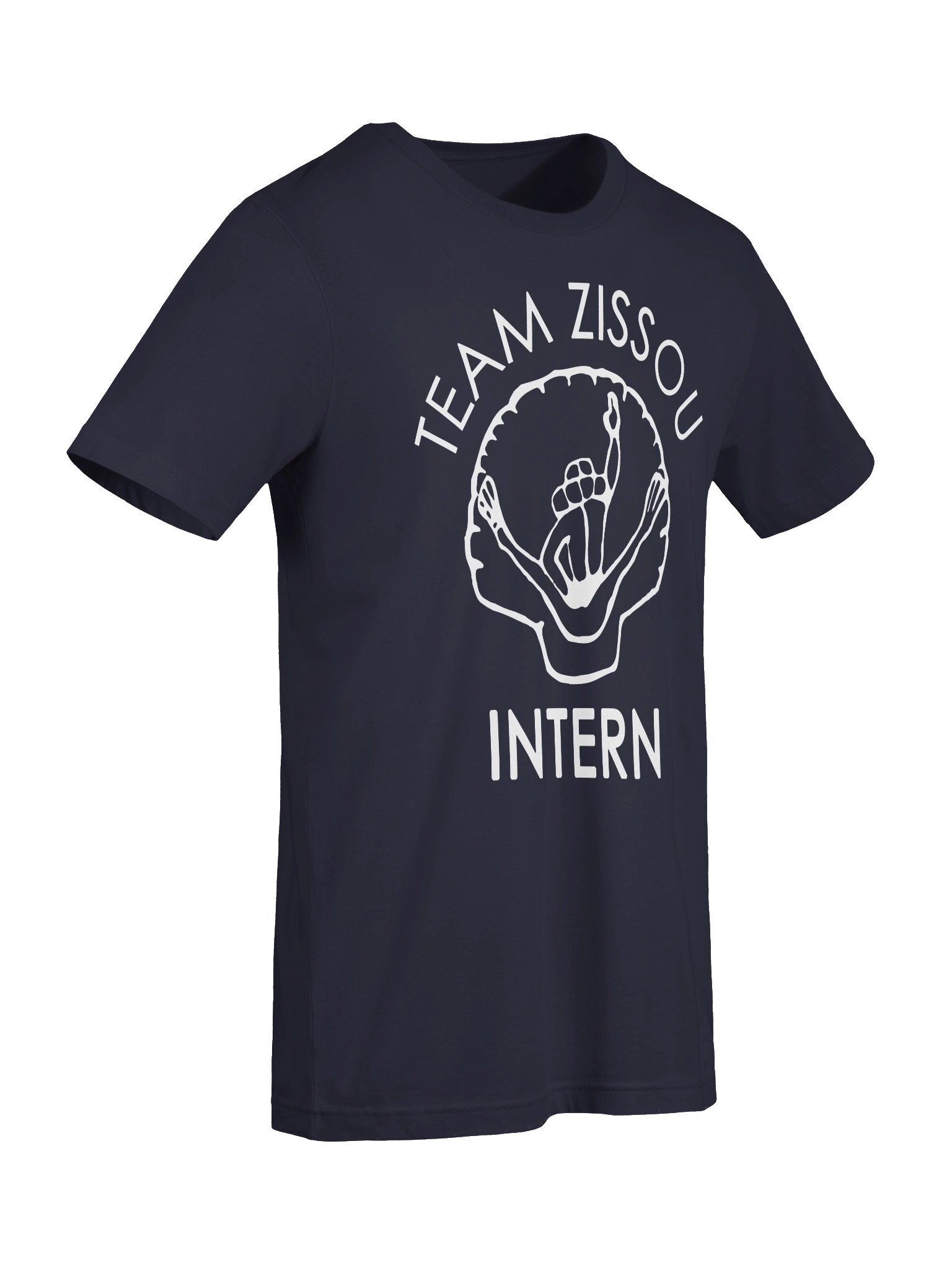 Team Zissou Intern DS079 product image (7)