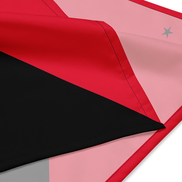 Task Force Red/Black Bandana product image (2)